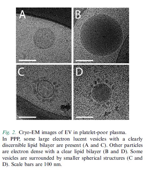 Логика против биофашизма-extracellular vesicles photos